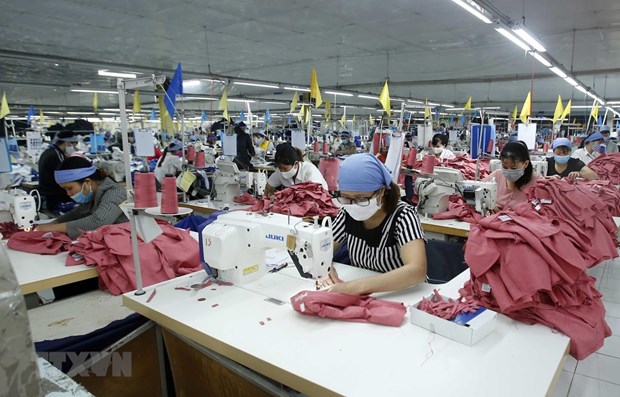 越南纺织服装和皮革鞋业致力满足欧洲市场的绿色标准 hinh anh 1