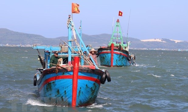 越南着力预防和阻止IUU捕捞 解除欧盟委员会对越南的“黄牌”警告 hinh anh 1