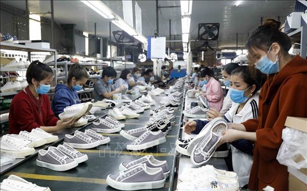 越南纺织服装和皮革鞋业致力满足欧洲市场的绿色标准 hinh anh 2