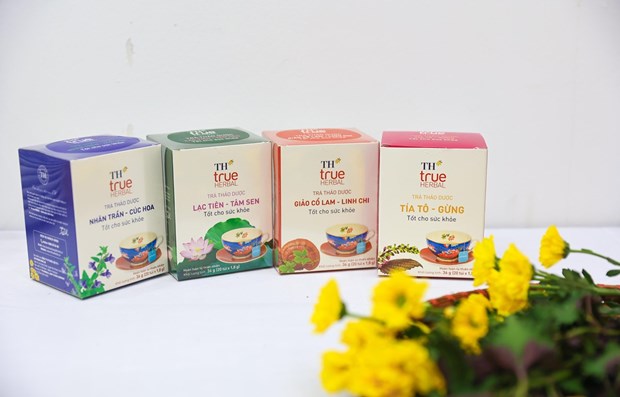 TH集团推出改善人类健康水平的四种凉茶 hinh anh 1