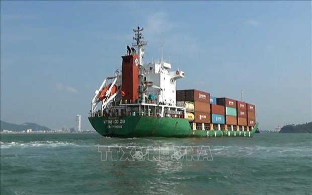 越南船队力争到2030年进出口货物运量占市场份额的20% hinh anh 2