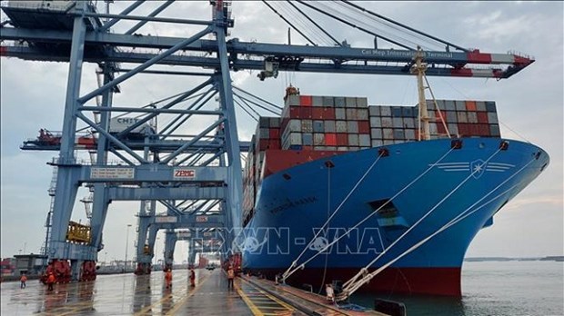 越南船队力争到2030年进出口货物运量占市场份额的20% hinh anh 1