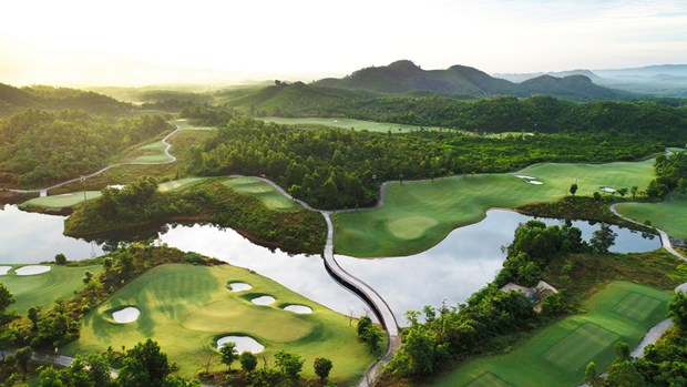 确立岘港高尔夫旅游目的地的地位 hinh anh 1