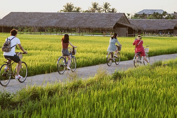 越南首都河内：打造并连接农业乡村旅游产品 hinh anh 2