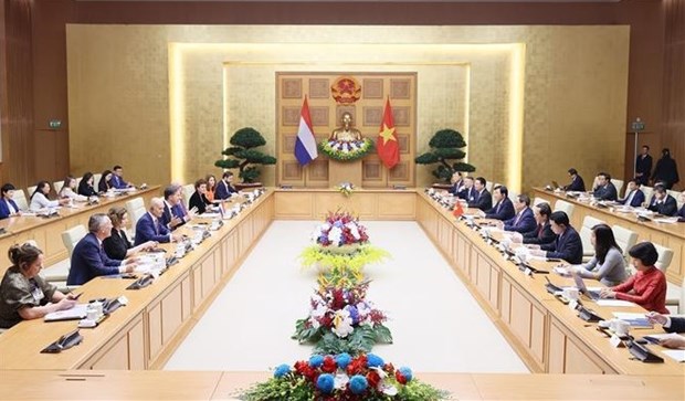 越南政府总理范明政与荷兰首相马克·吕特举行会谈 hinh anh 1