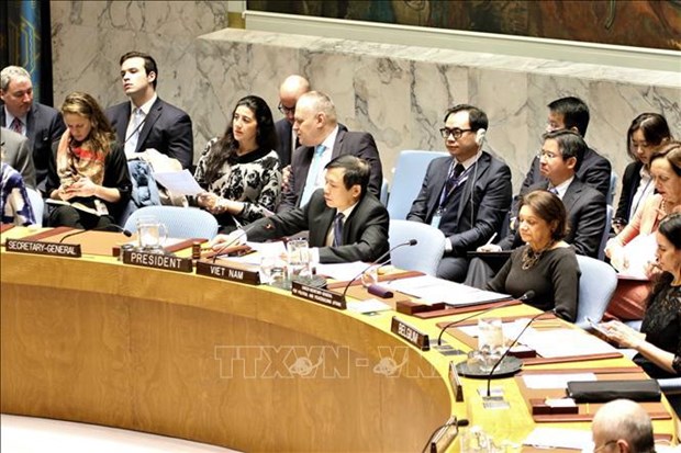 越南与联合国安理会：从参与者到致力于和平与可持续发展的伙伴 hinh anh 5