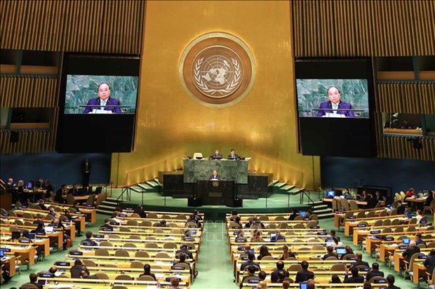越南与联合国安理会：从参与者到致力于和平与可持续发展的伙伴 hinh anh 4