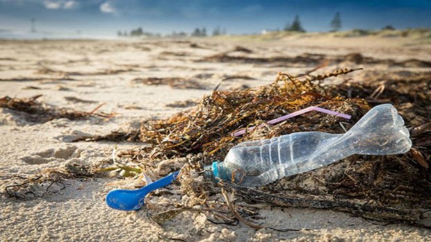 越南成为海洋塑料污染全球协议建设进程中的先锋 hinh anh 2