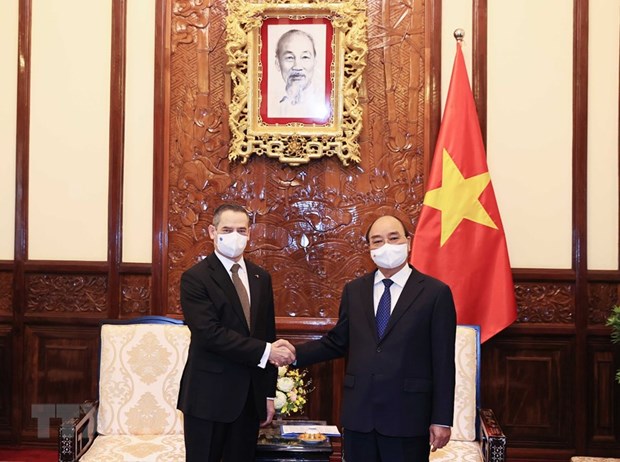 智利驻越南大使对越南传统春节的文化之美表示印象深刻 hinh anh 2