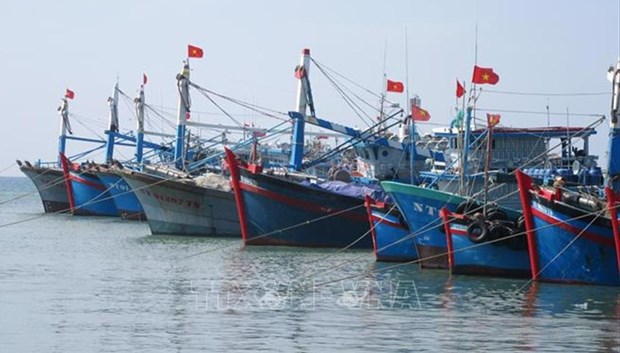 解除IUU“黄牌警告”：越南渔业界下定决心打击非法捕捞 hinh anh 1