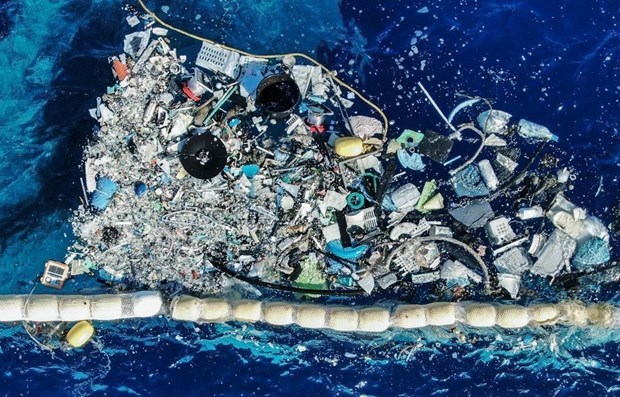 东亚沿海国家携手应对塑料污染 hinh anh 2