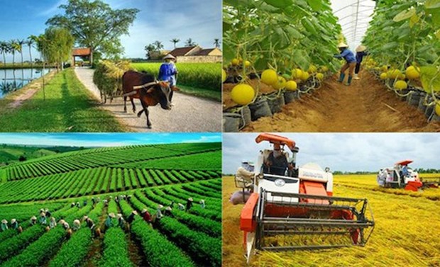 包容性增长与发展——2023年农业与农村发展部门的双重使命 hinh anh 3