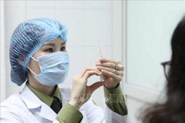 越南新冠疫苗研发工作释放积极信号 hinh anh 1