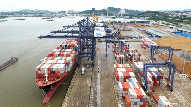 2022年上半年越南出口见起色 全国贸易顺差逾7亿美元 hinh anh 1
