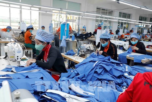 今年最后几月越南纺织、皮革和制鞋行业面临巨大压力 hinh anh 2
