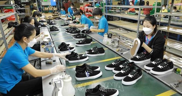 今年最后几月越南纺织、皮革和制鞋行业面临巨大压力 hinh anh 1