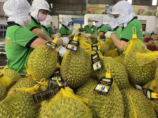 到2025年越南水果出口额将突破50亿美元 hinh anh 2