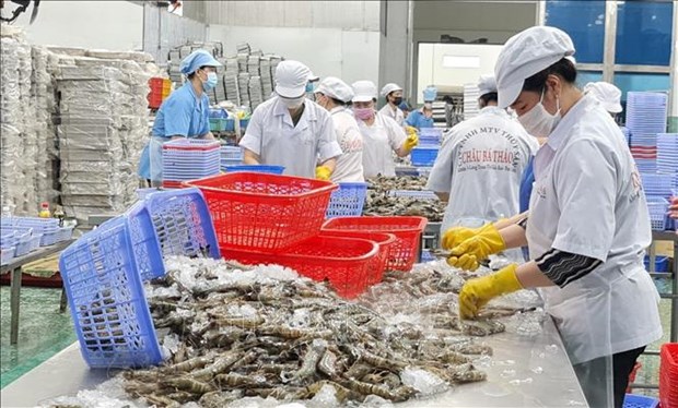 越南力争2023年虾类出口额达43亿美元 hinh anh 2