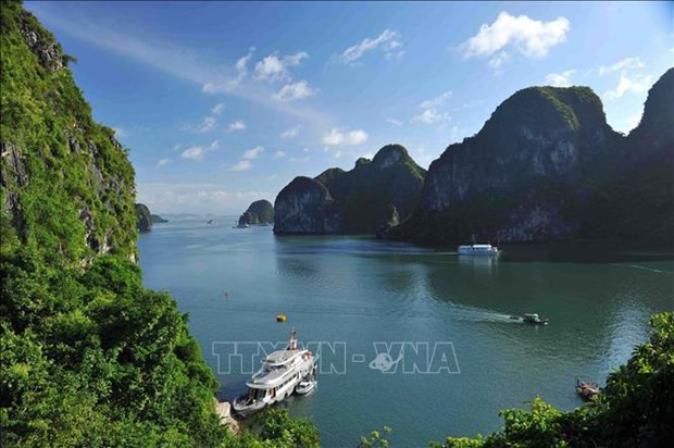 文化遗产促进越南旅游业可持续发展 hinh anh 2