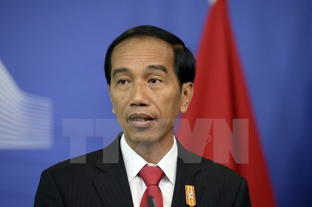 印尼总统下决心阻止极端主义蔓延 hinh anh 1