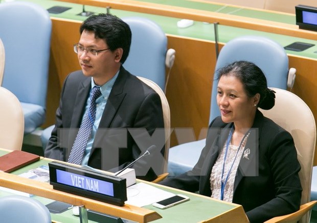 越南呼吁联合国安全理事会在防止水冲突中发挥积极作用 hinh anh 1