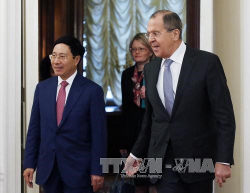 越南政府副总理兼外交部部长范平明与俄罗斯外交部部长举行会谈 hinh anh 1