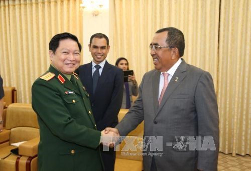 马来西亚国防部副部长访问越南 hinh anh 1