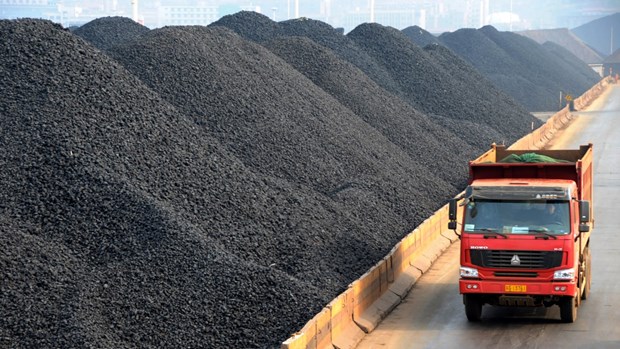2017年越南煤炭矿产工业集团力争实现原煤开采量达3380万吨 hinh anh 1