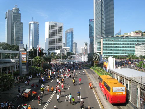 2017年印尼将集中推动经济三大支柱发展 hinh anh 1