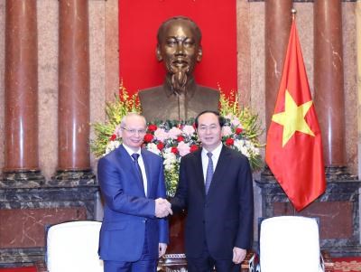 越南国家主席陈大光会见俄联邦巴什科尔托斯坦共和国政府总理马尔达诺夫 hinh anh 1