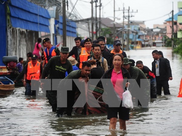 泰国南部水灾致严重的人员和财产损失 hinh anh 1