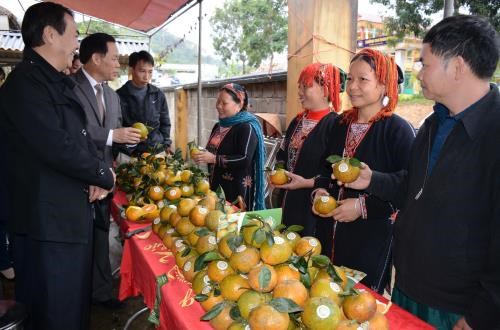 越南安沛省举行“禄安橙”集体商标首发式 hinh anh 2