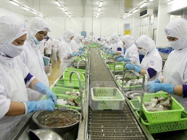 2016年越南对欧盟虾类产品出口额增长7.5% hinh anh 1
