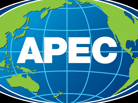 APEC 2017：展现一个活跃创新且积极融入国际社会的越南 hinh anh 1