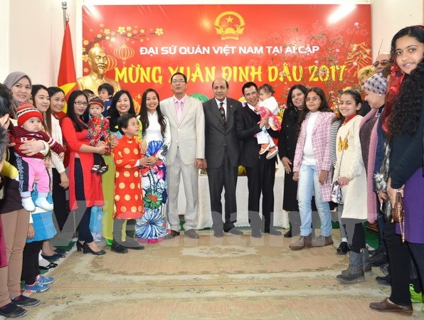 旅居捷克和埃及越侨举行喜迎2017丁酉春节活动 hinh anh 2