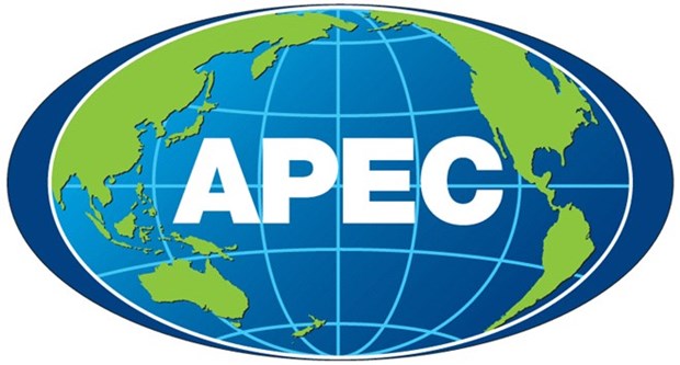2017年APEC峰会期间越南海关将承办系列会议 hinh anh 1