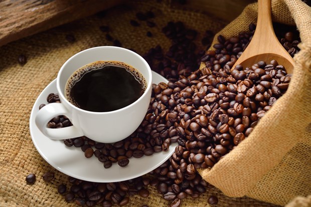 越南咖啡达到世界质量标准 hinh anh 1