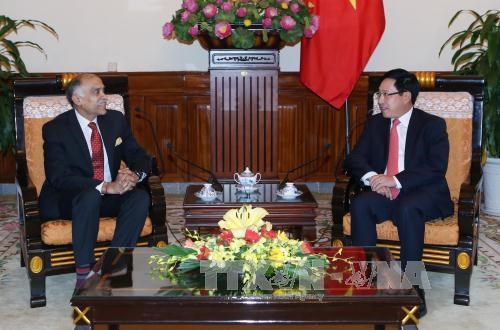 越南政府副总理兼外交部长范平明会见印度驻越南大使 hinh anh 1