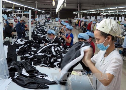 2016年越南对美国及日本纺织品服装出口额达150亿美元 hinh anh 1
