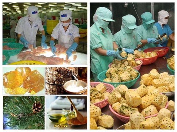 2017年越南出口活动将集中于优势产业 hinh anh 1