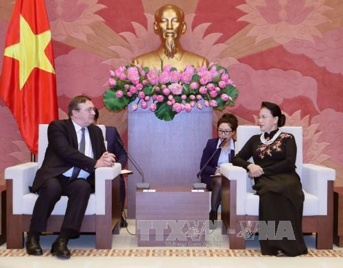 越南国会主席阮氏金银会见瑞典与匈牙利驻越大使 hinh anh 4