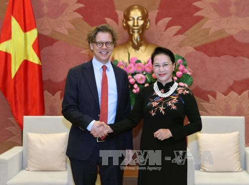 越南国会主席阮氏金银会见瑞典与匈牙利驻越大使 hinh anh 1