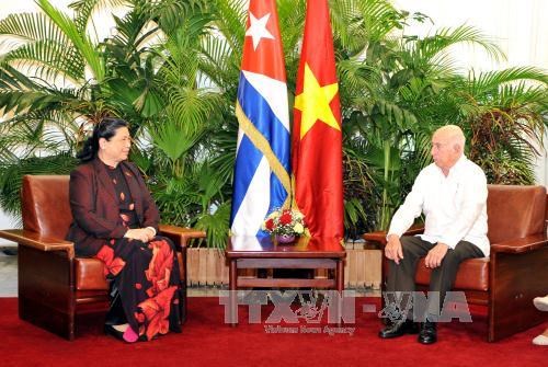 越南国会副主席丛氏放访问古巴的系列活动报道 hinh anh 1