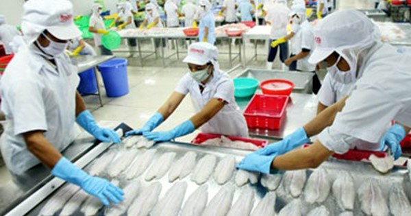 越南是日本在亚洲的重要水产品出口国之一 hinh anh 1