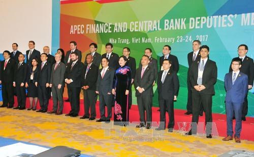 2017年越南APEC峰会：APEC财政和央行副手会就多项内容展开讨论 hinh anh 1