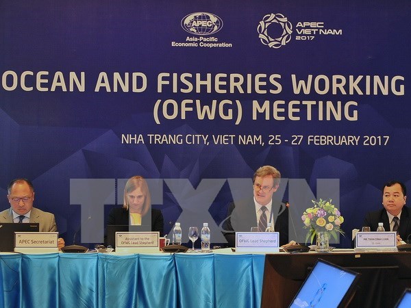 2017年越南APEC峰会：确保亚太地区渔业资源可持续发展 hinh anh 1