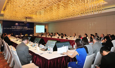 2017年APEC第一次高官会及其相关委员会及工作组级会议进入工作最后几天 hinh anh 1
