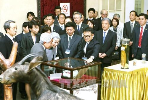 日本天皇和皇后参观保留由他赠送的白色虾虎鱼标本的生物学博物馆 hinh anh 2
