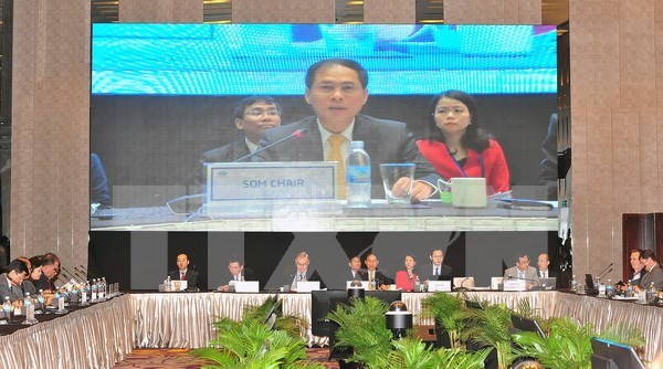 2017年APEC会议：促进增长 造福人民 hinh anh 1