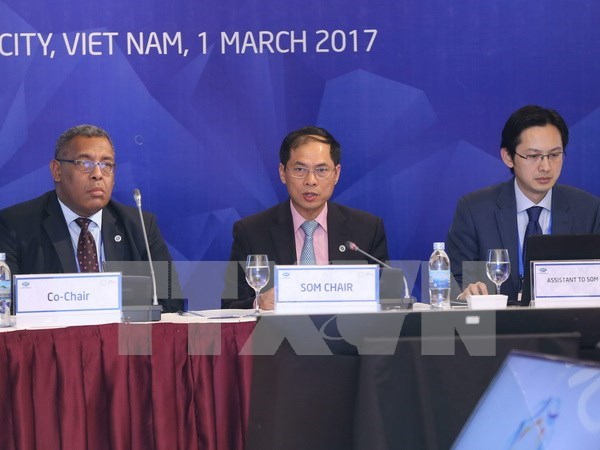 2017年越南APEC峰会：APEC第一次高官会正式召开 hinh anh 1